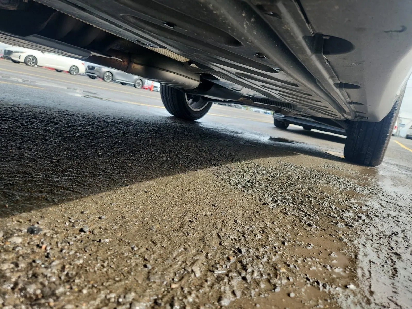 Undercarriage - Driver Photo
