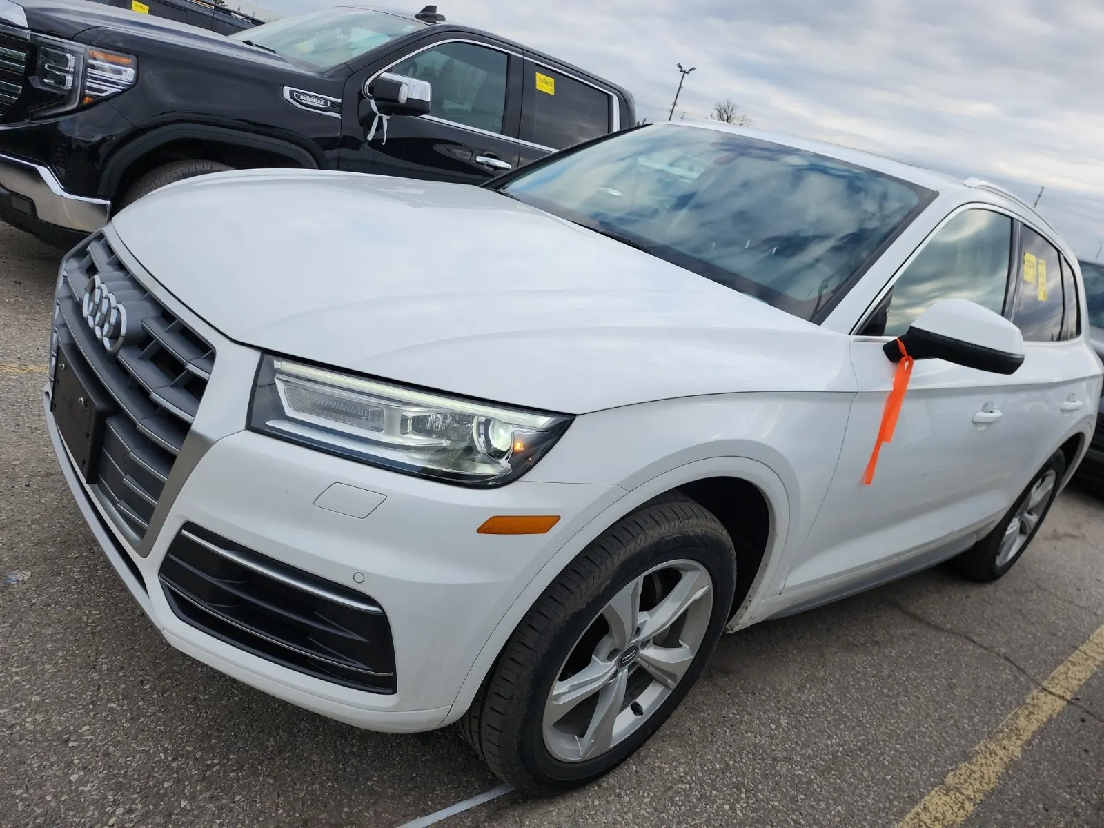 2019 Audi Q5