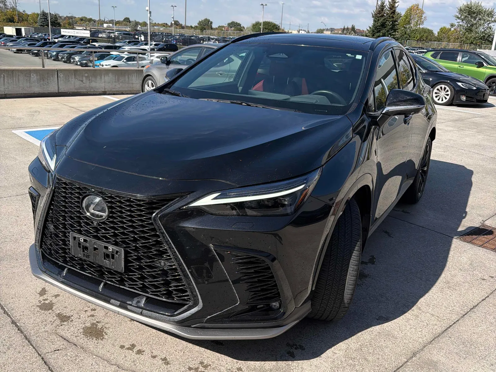 2024 Lexus NX