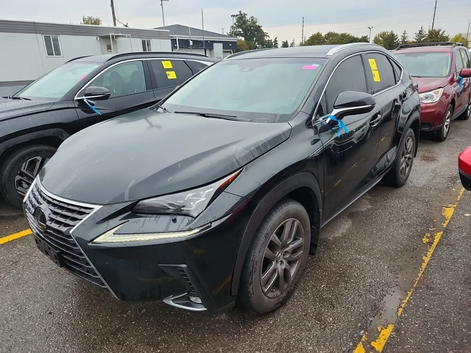 2019 Lexus NX