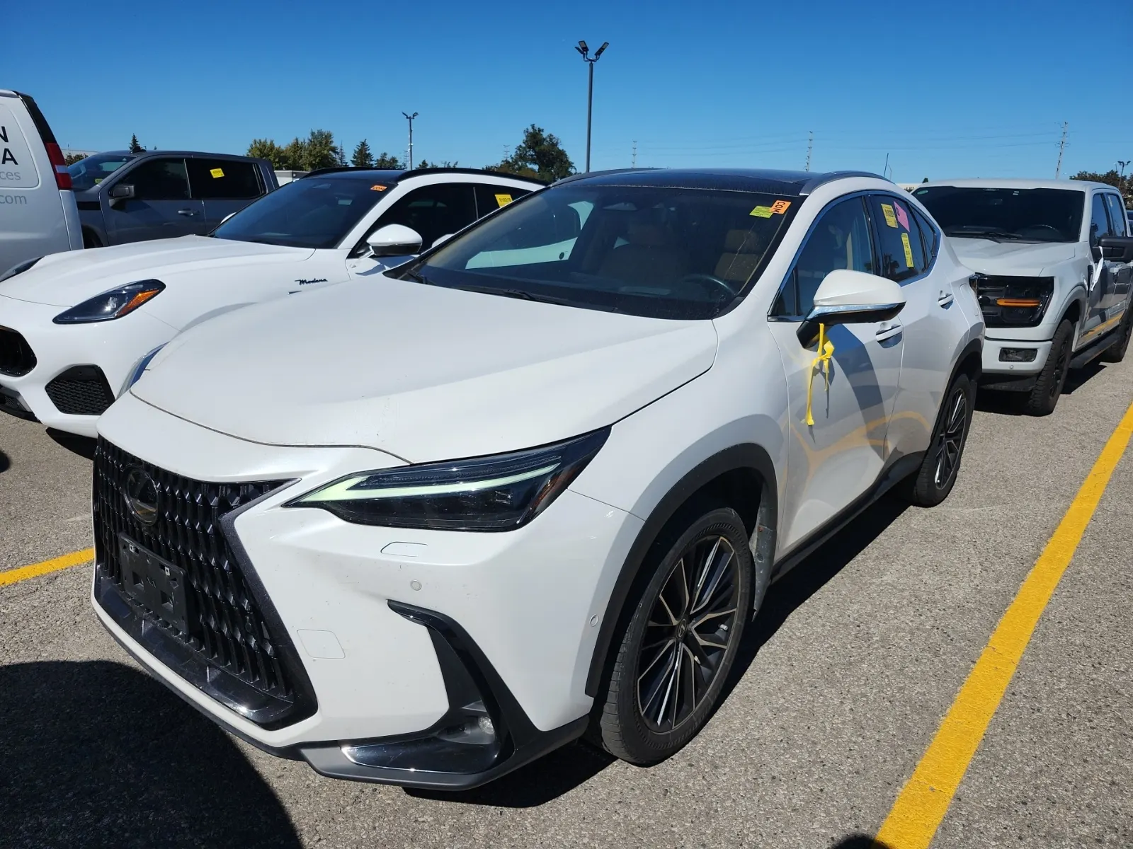 2022 Lexus NX