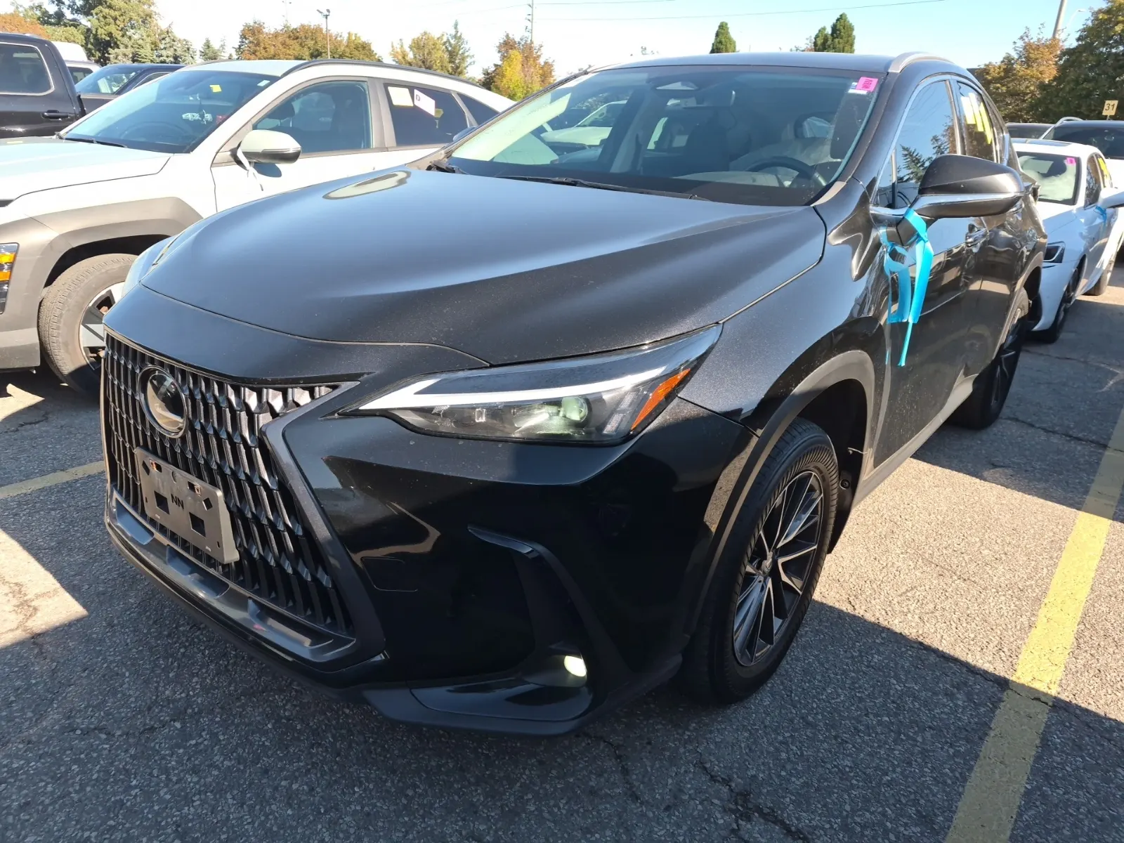 2024 Lexus NX