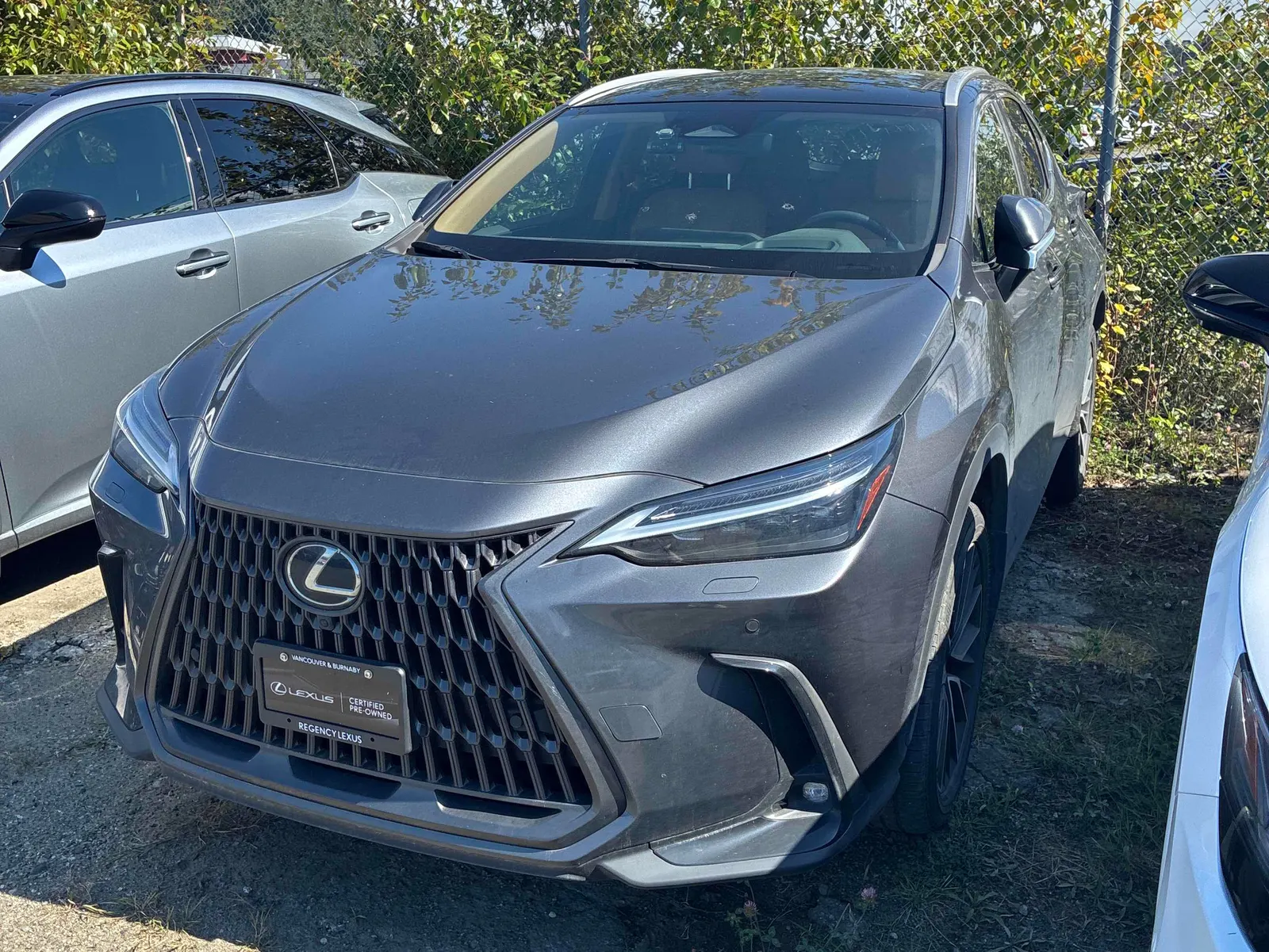 2024 Lexus NX