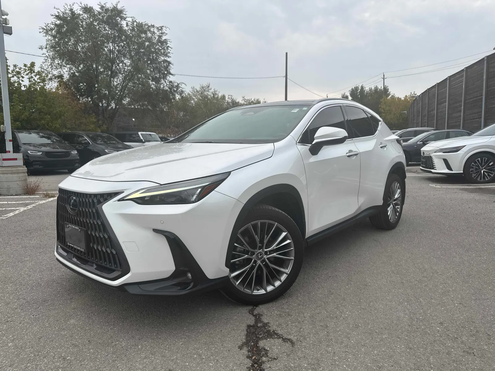 2022 Lexus NX