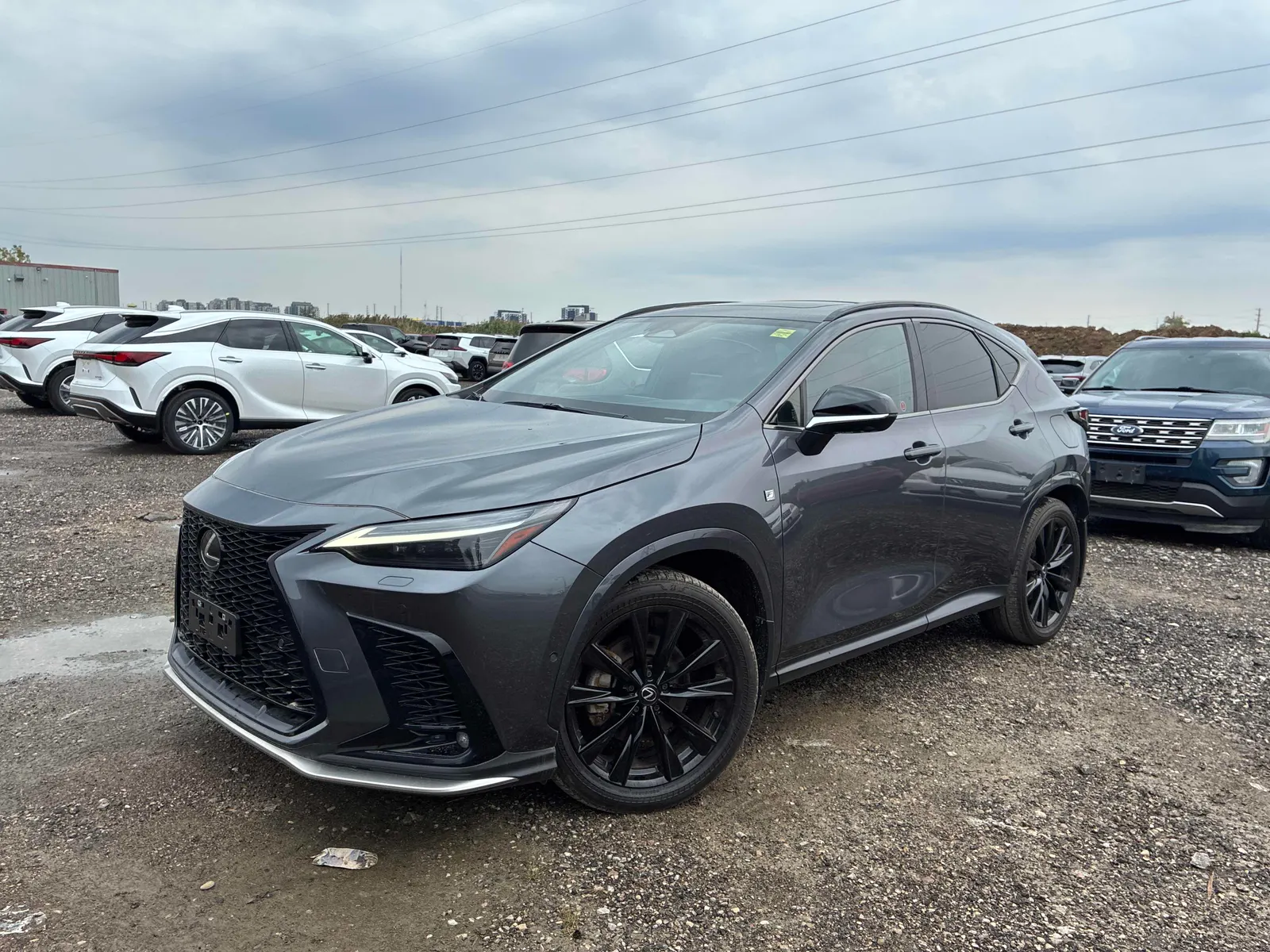 2024 Lexus NX