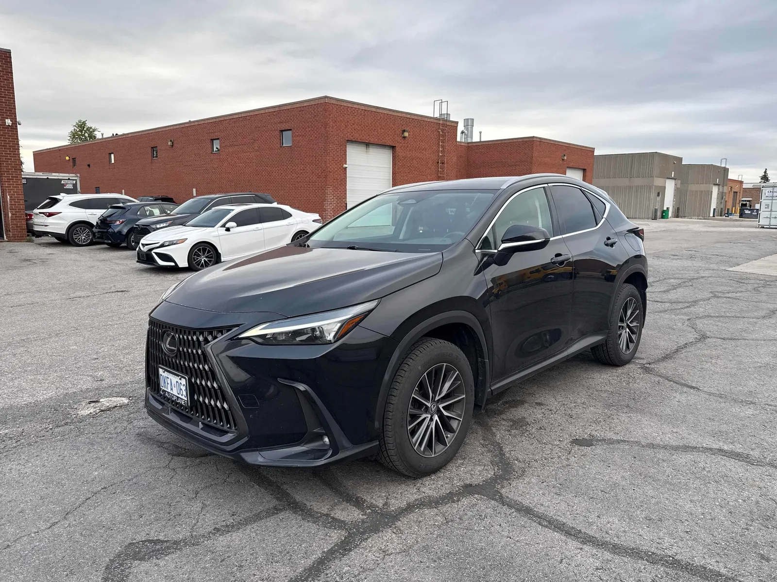 2023 Lexus NX