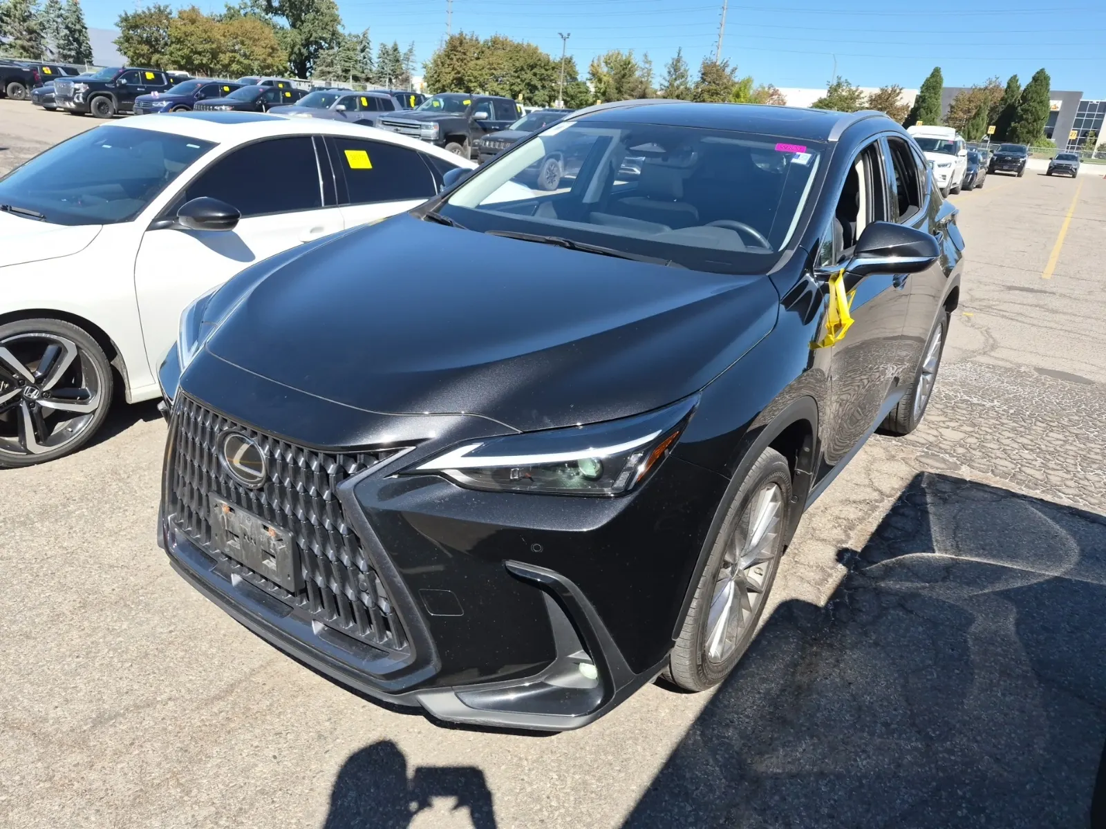 2023 Lexus NX