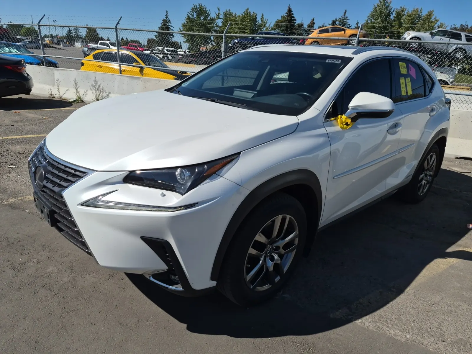 2019 Lexus NX
