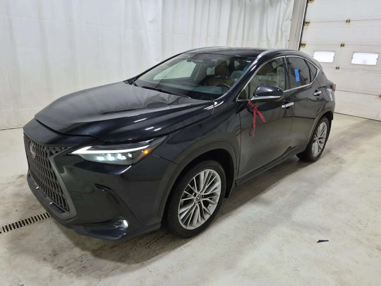 2024 Lexus NX