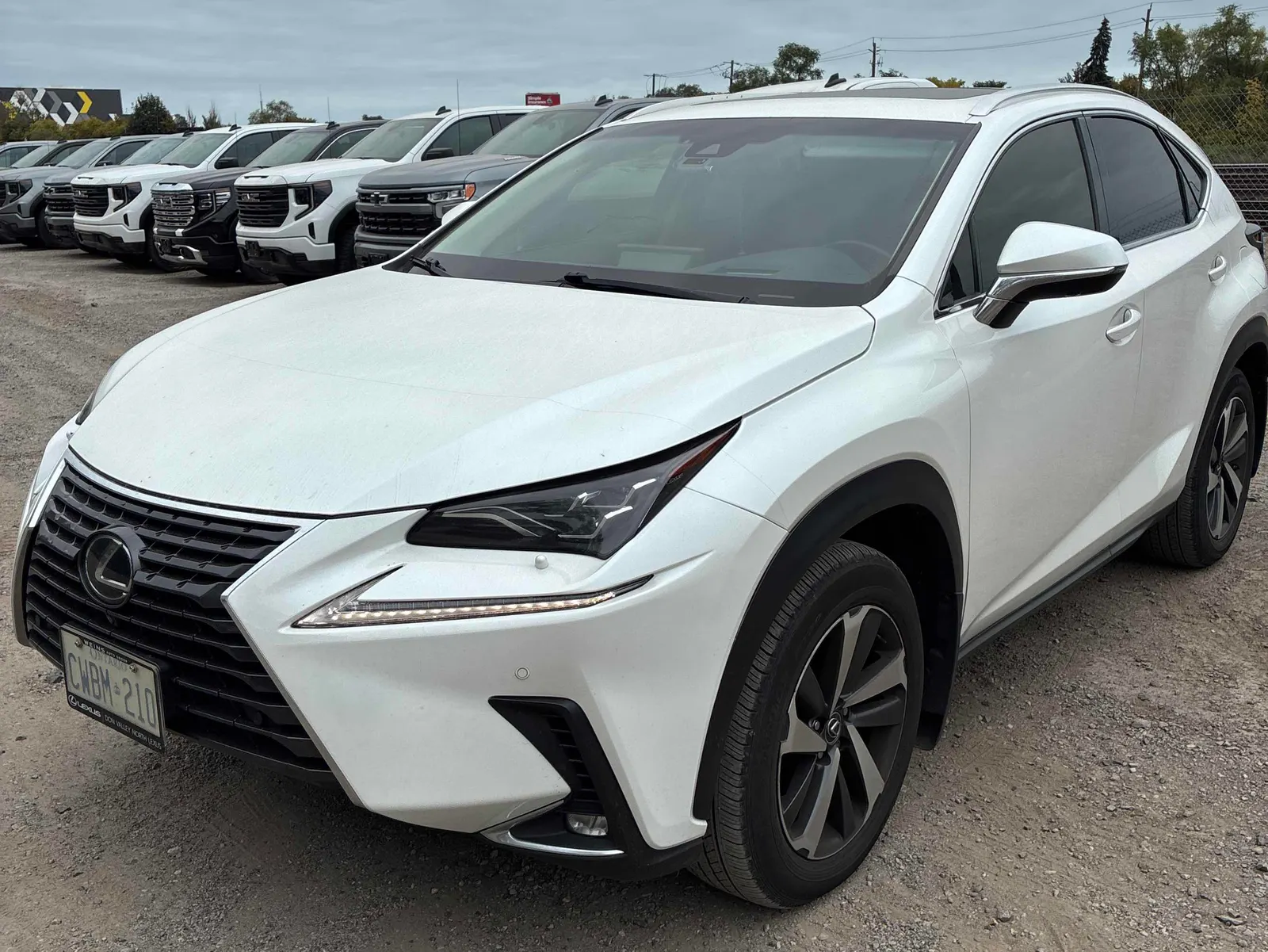 2019 Lexus NX