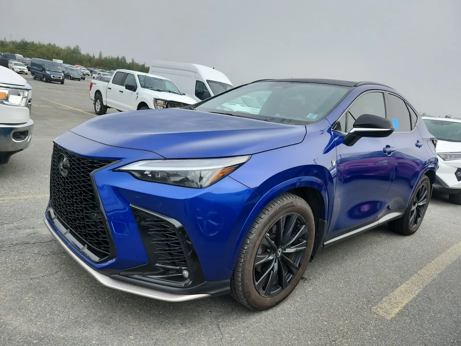 2024 Lexus NX