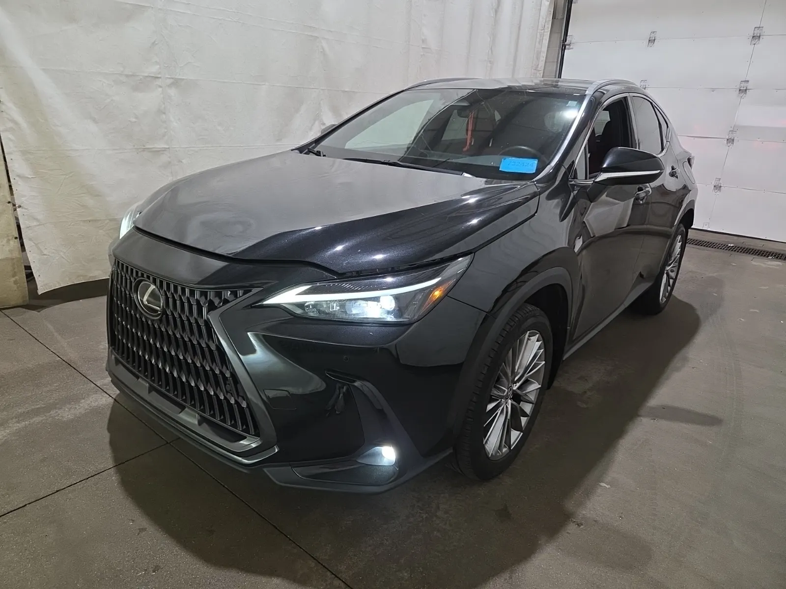 2022 Lexus NX