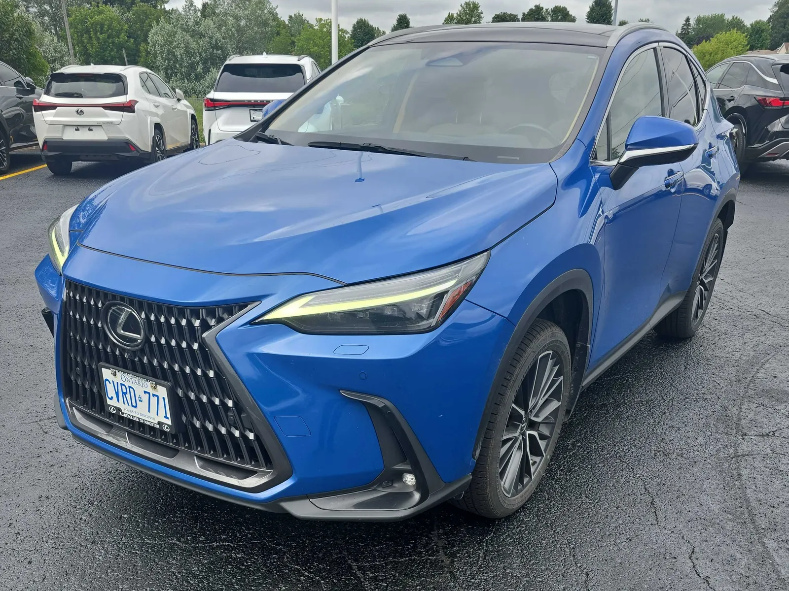 2022 Lexus NX