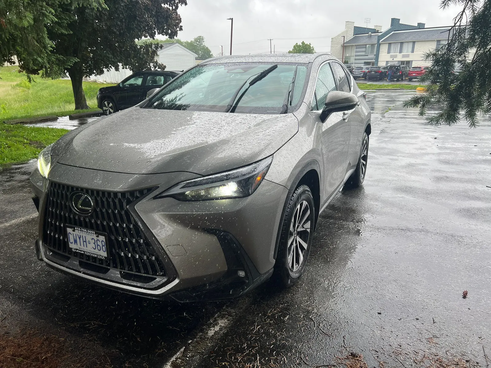 2022 Lexus NX