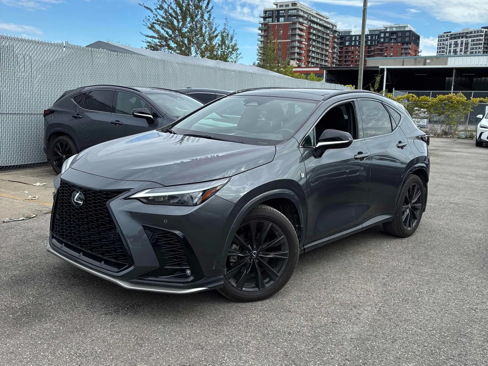 2024 Lexus NX