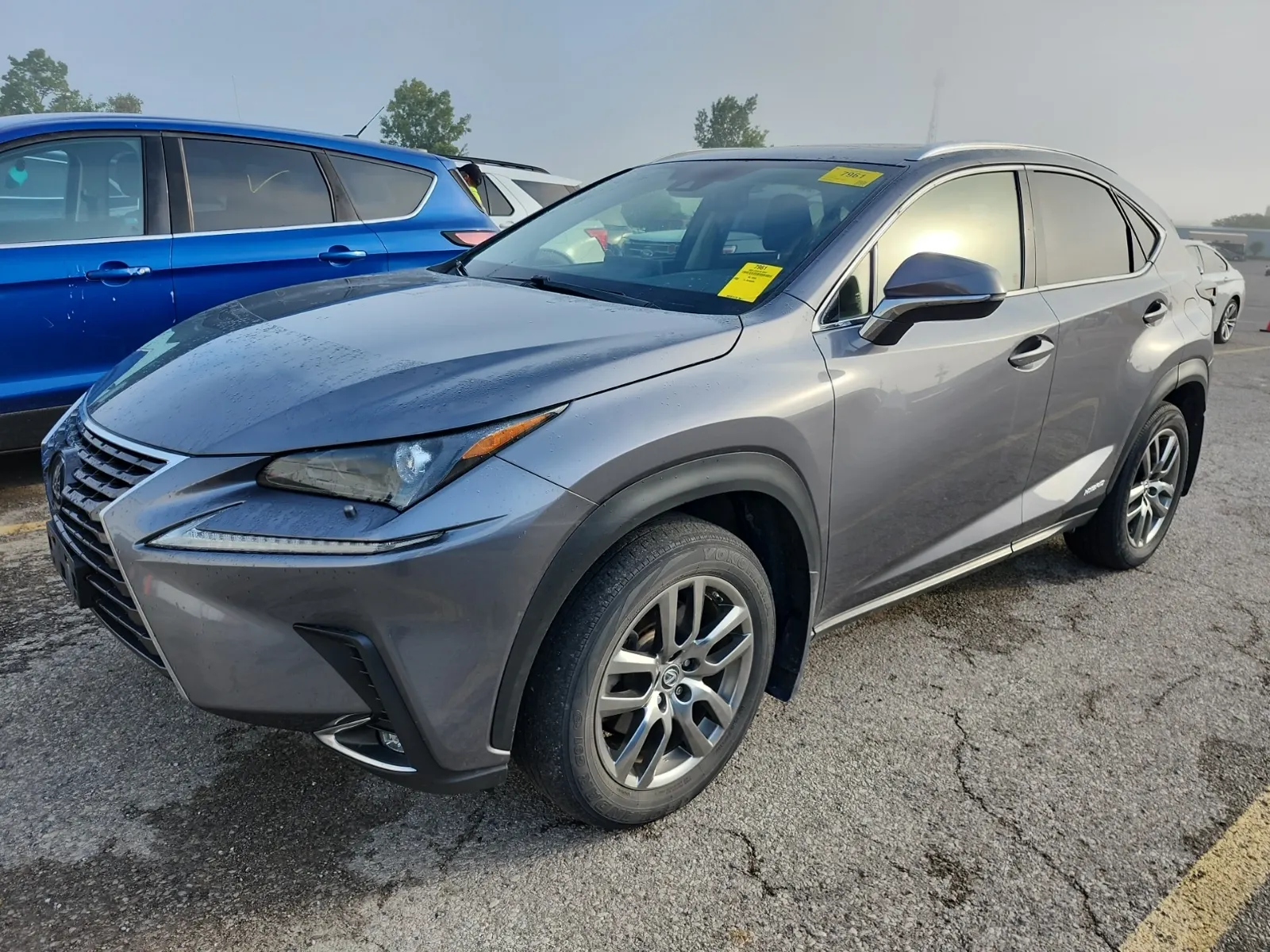 2020 Lexus NX
