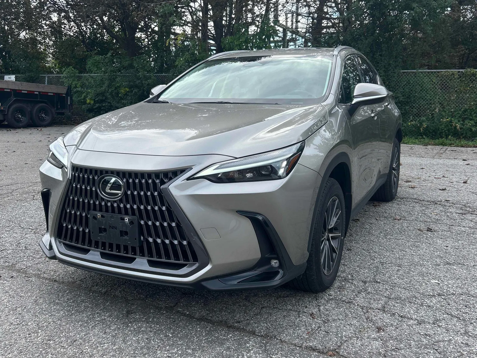 2024 Lexus NX