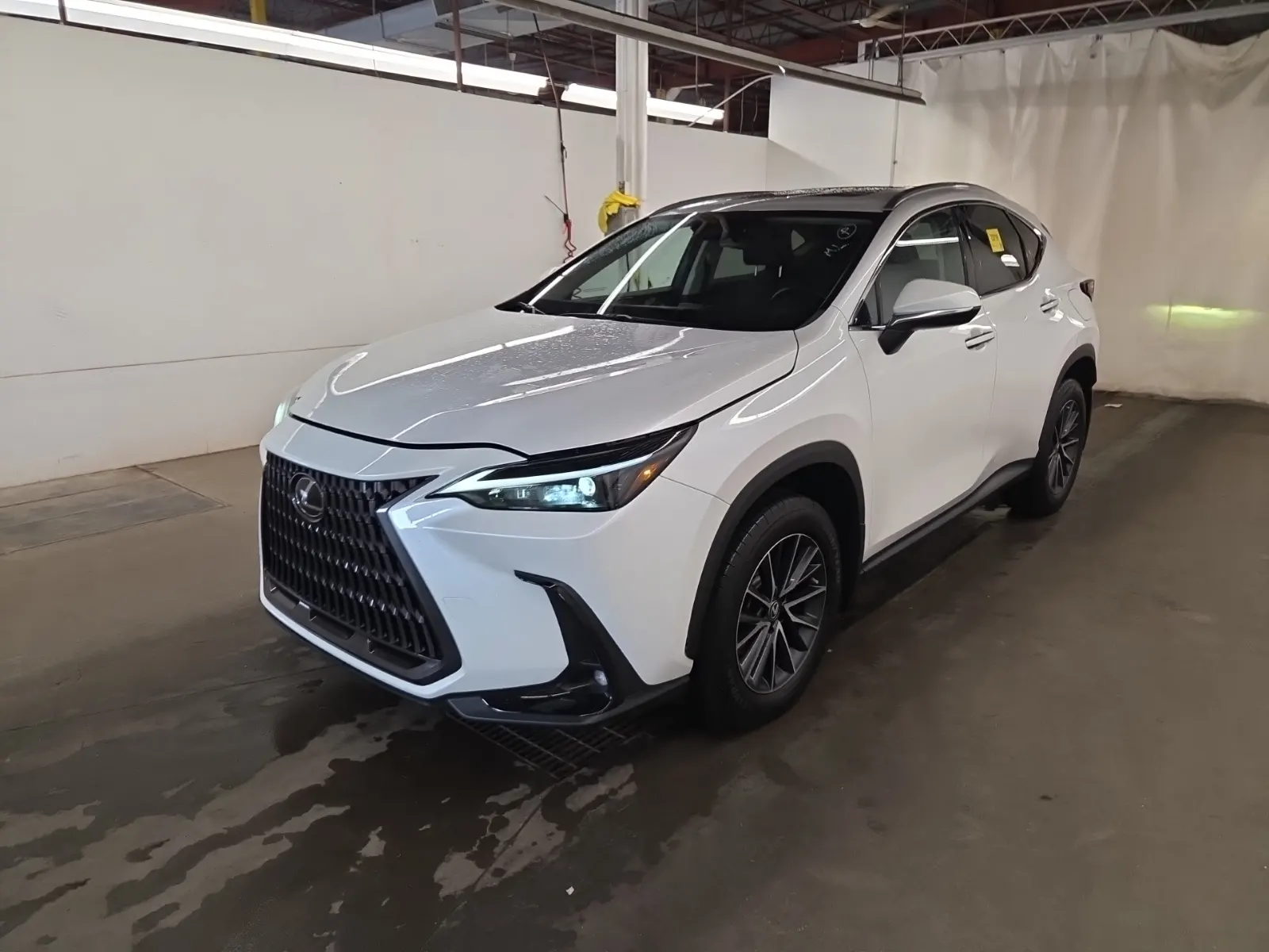 2022 Lexus NX
