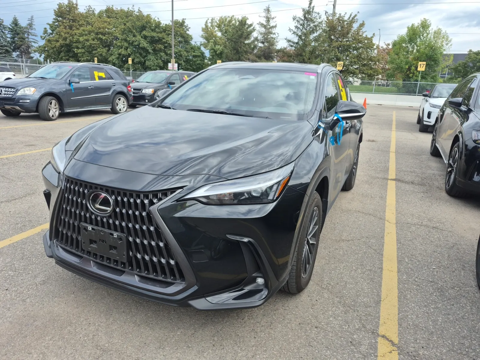 2025 Lexus NX