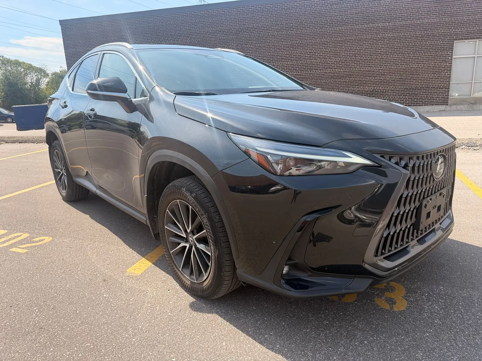 2024 Lexus NX