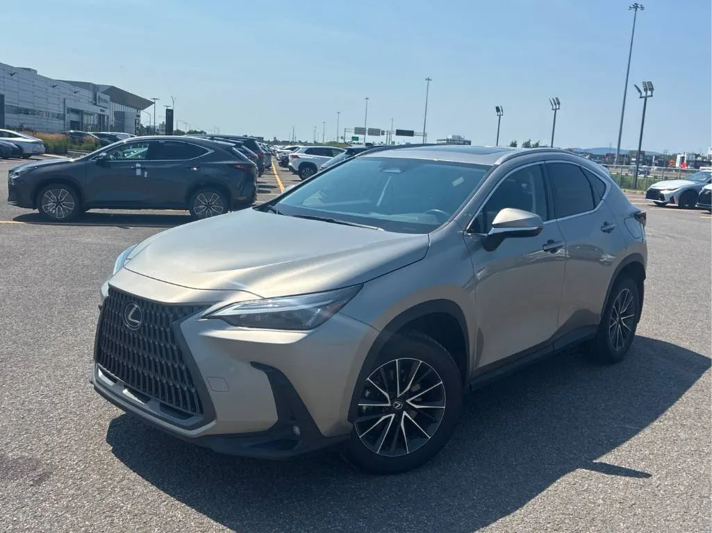 2024 Lexus NX