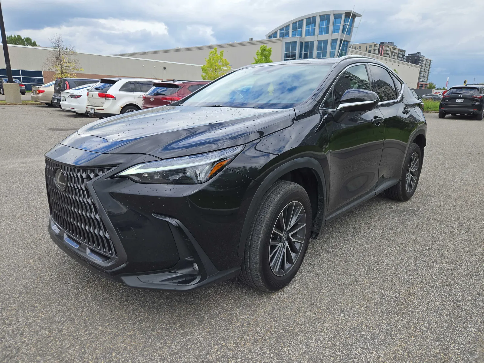 2024 Lexus NX