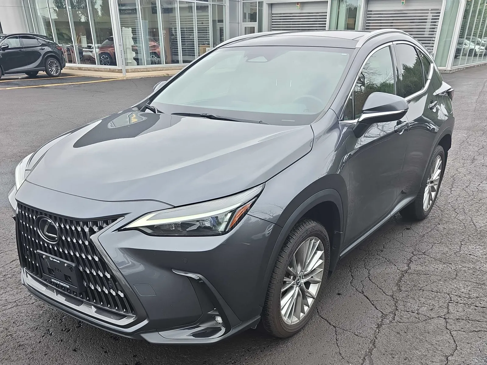 2024 Lexus NX