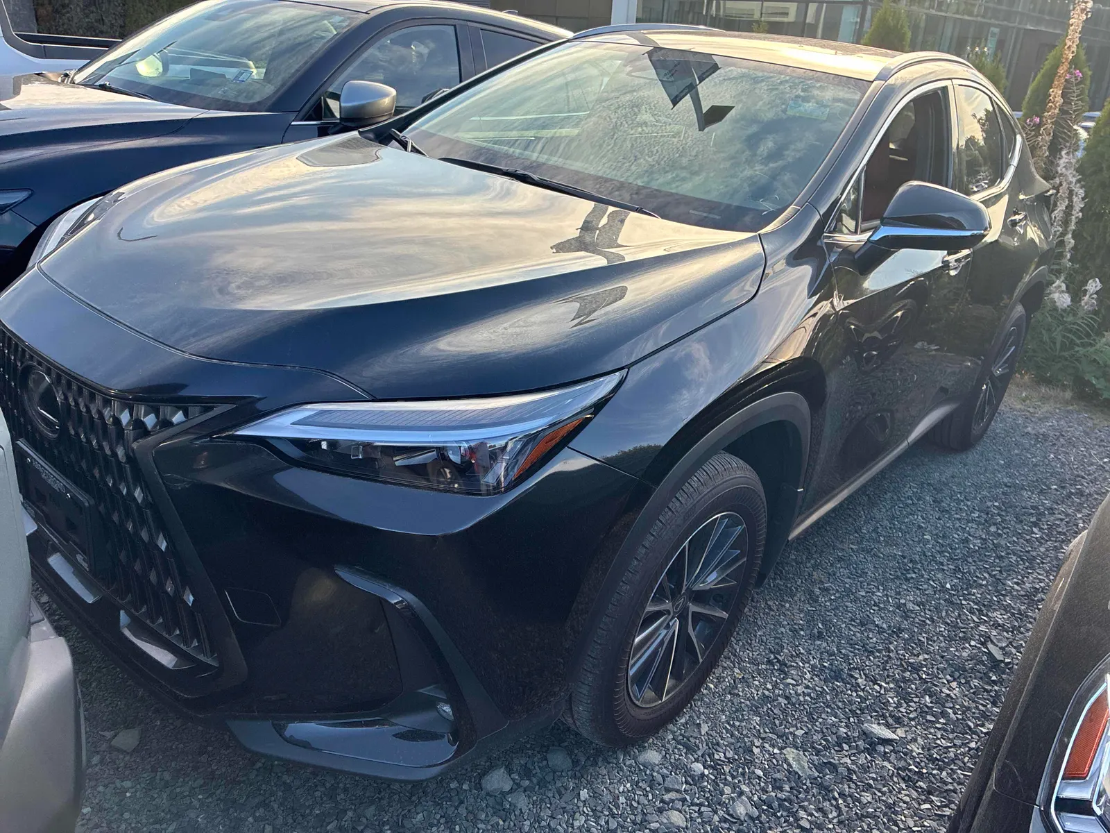 2025 Lexus NX