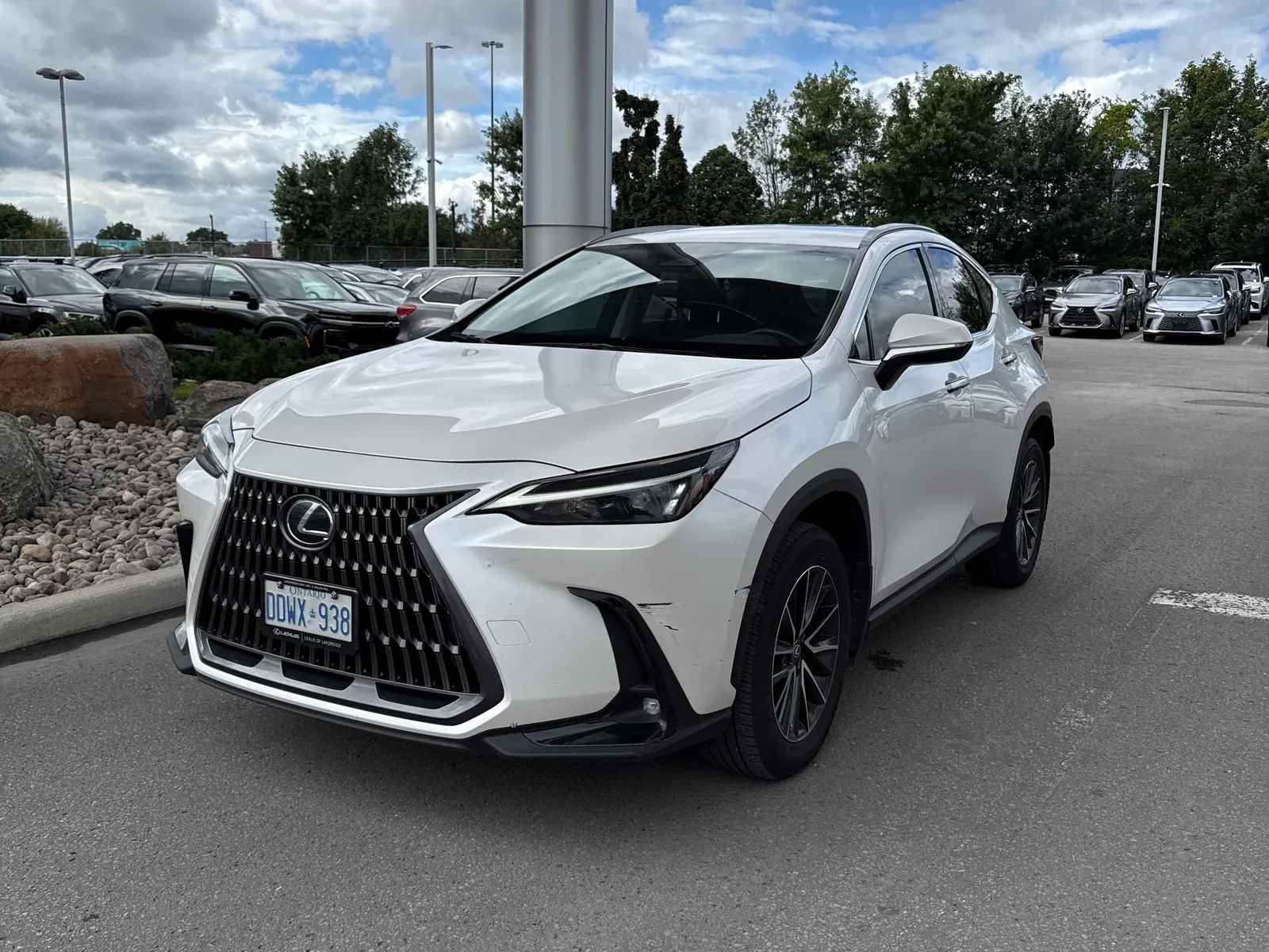 2025 Lexus NX