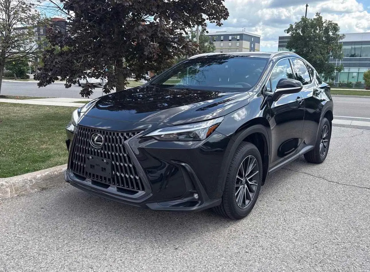2024 Lexus NX