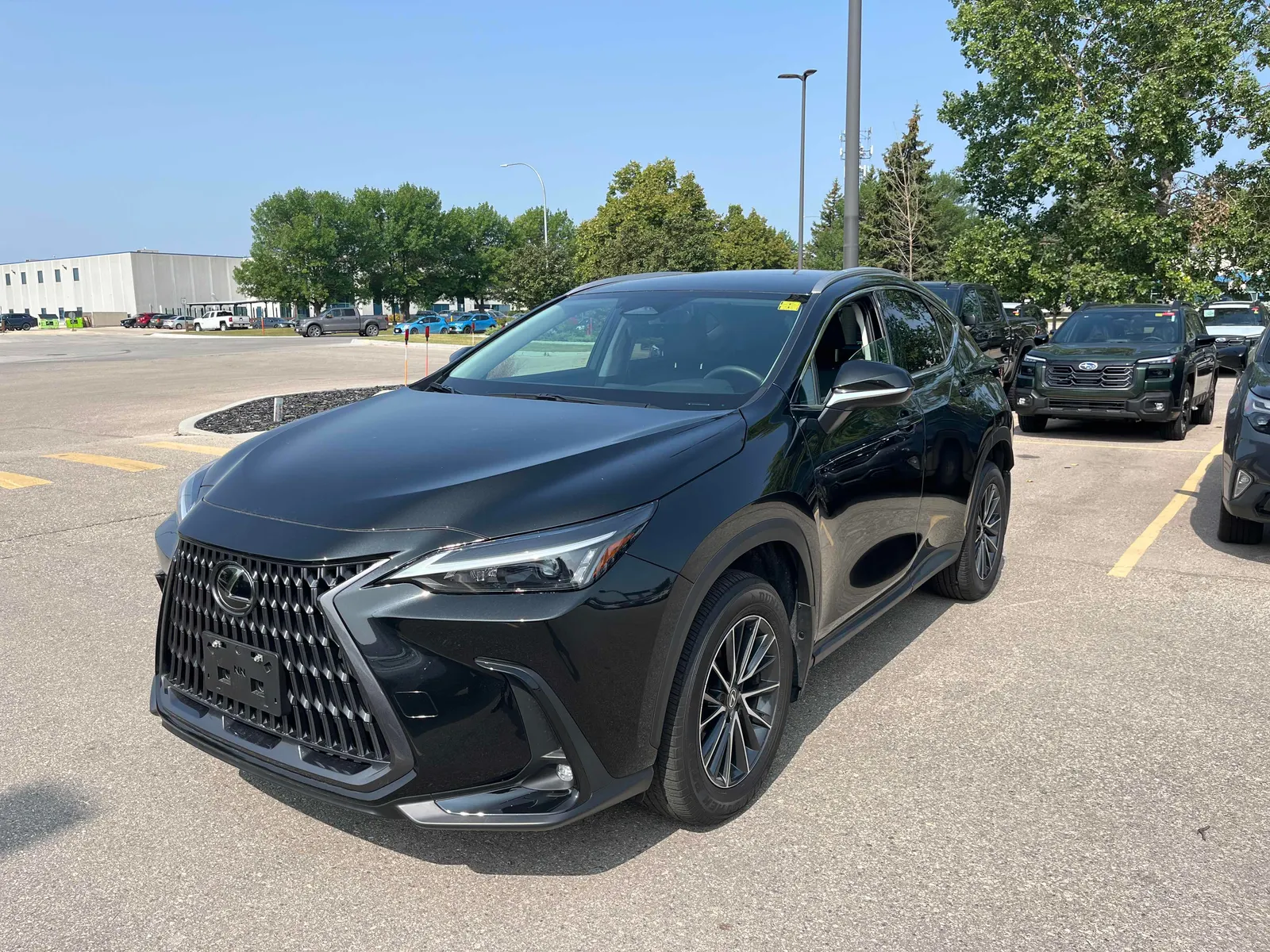 2025 Lexus NX