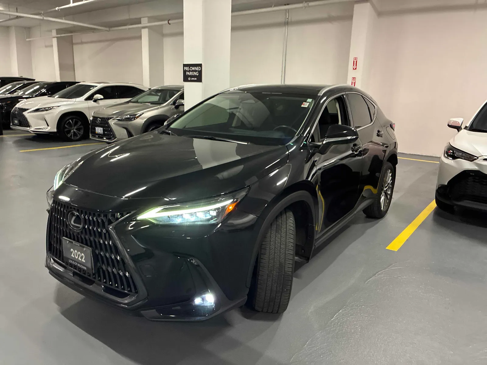 2022 Lexus NX