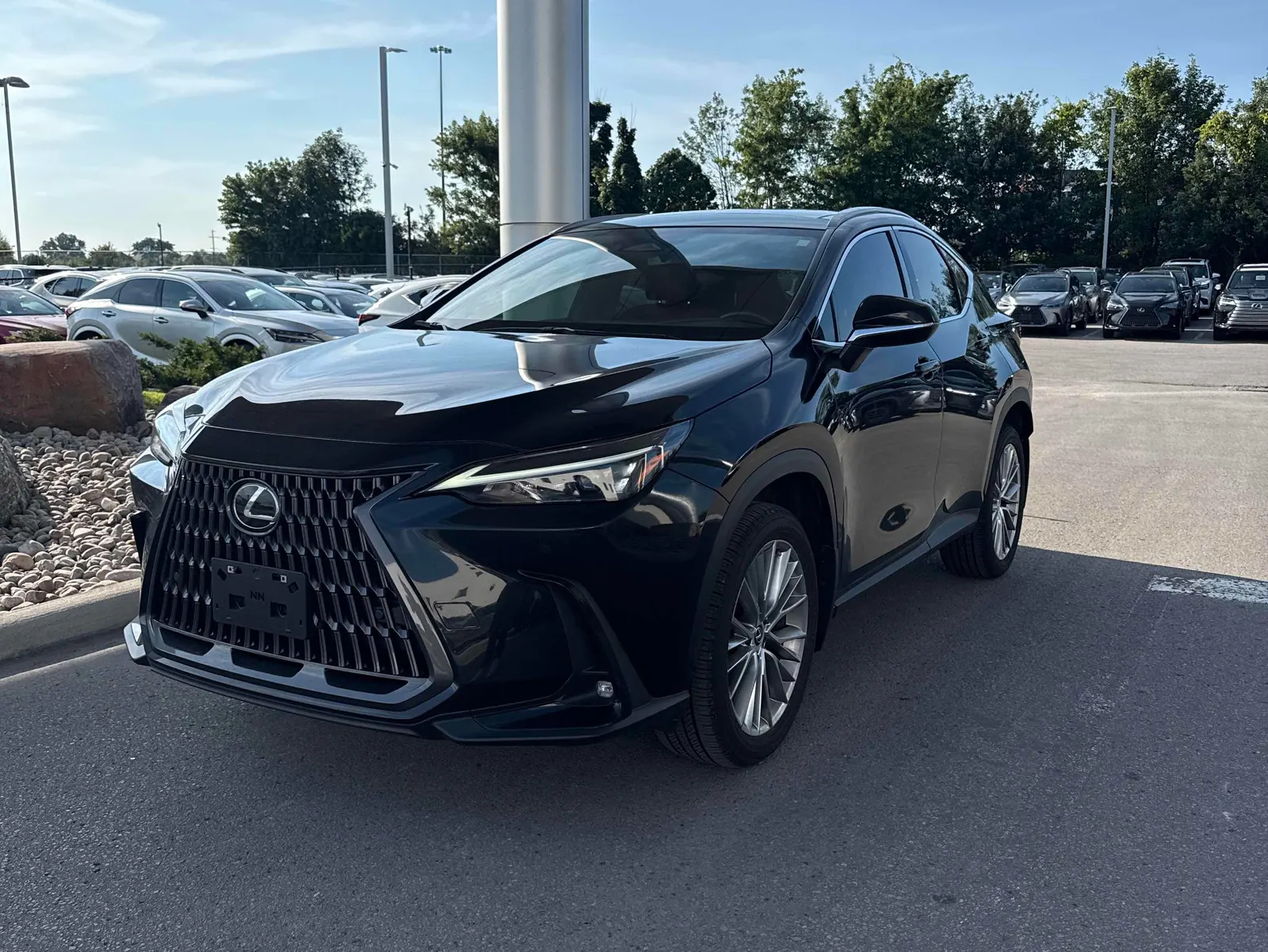 2025 Lexus NX