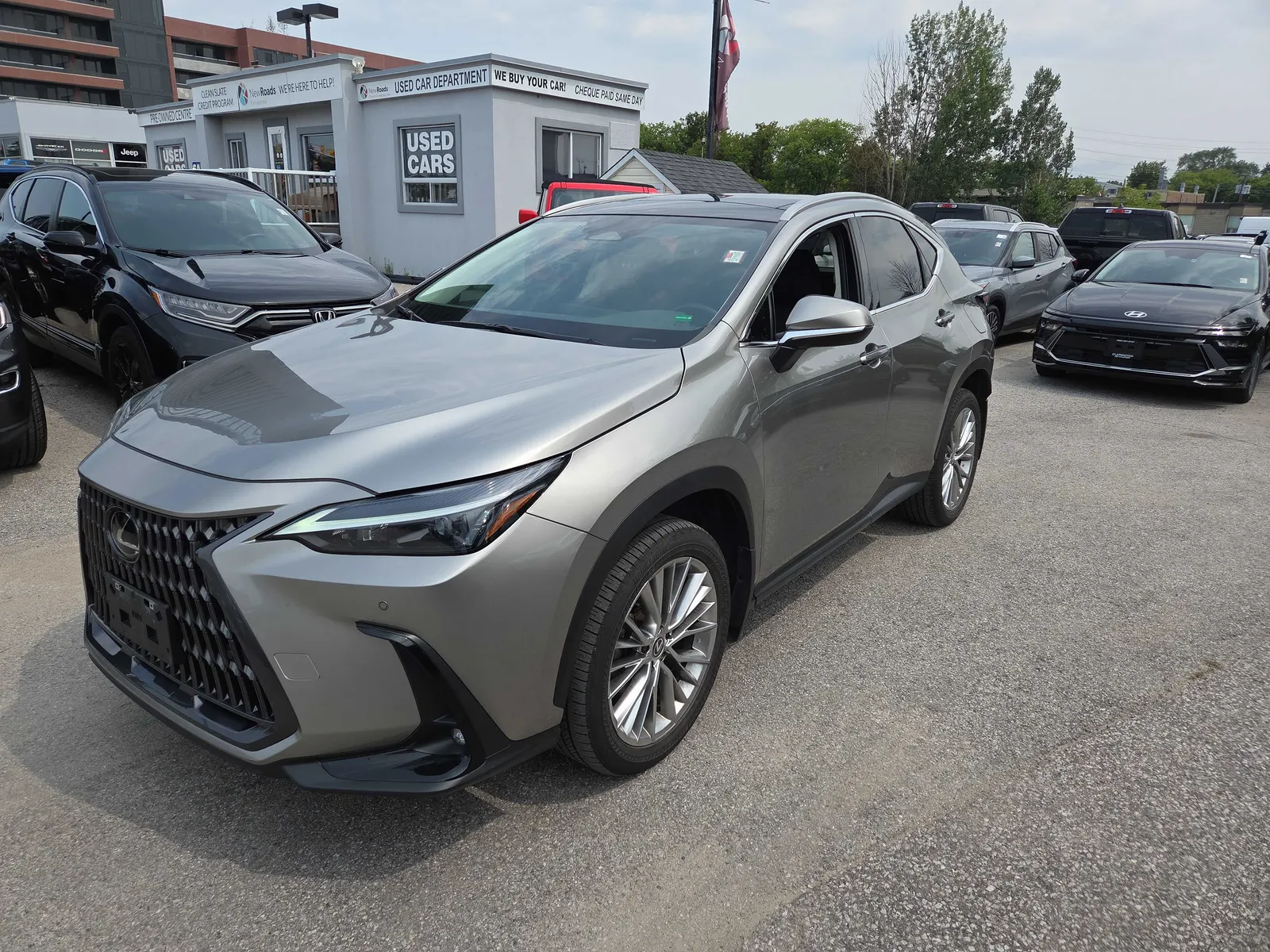 2024 Lexus NX