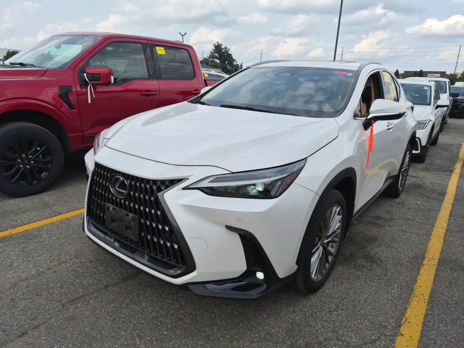 2022 Lexus NX