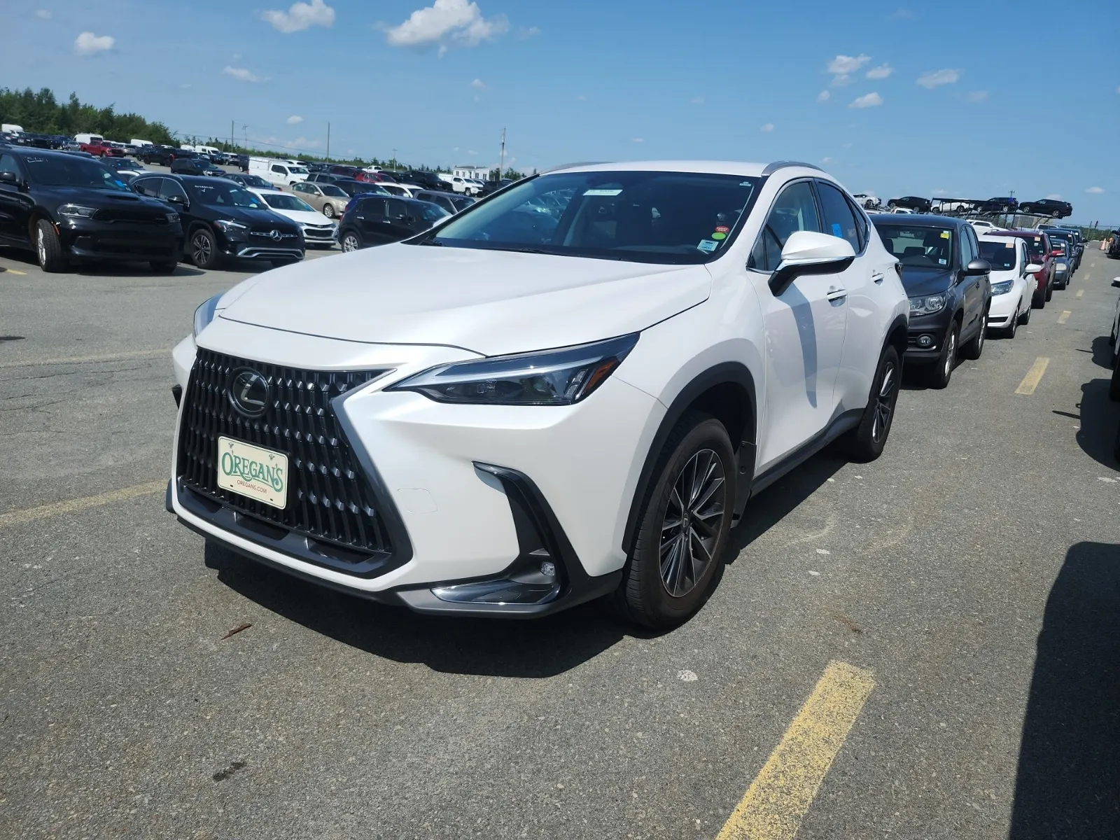 2025 Lexus NX