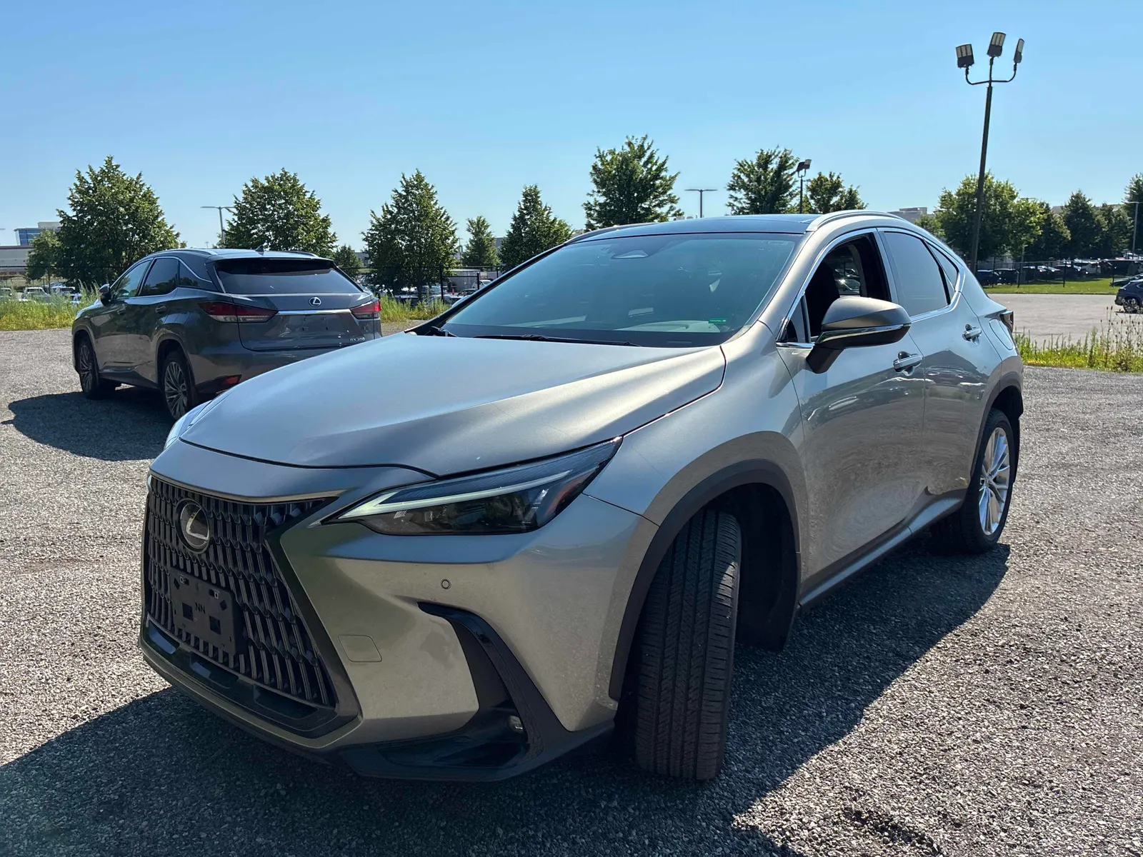 2024 Lexus NX