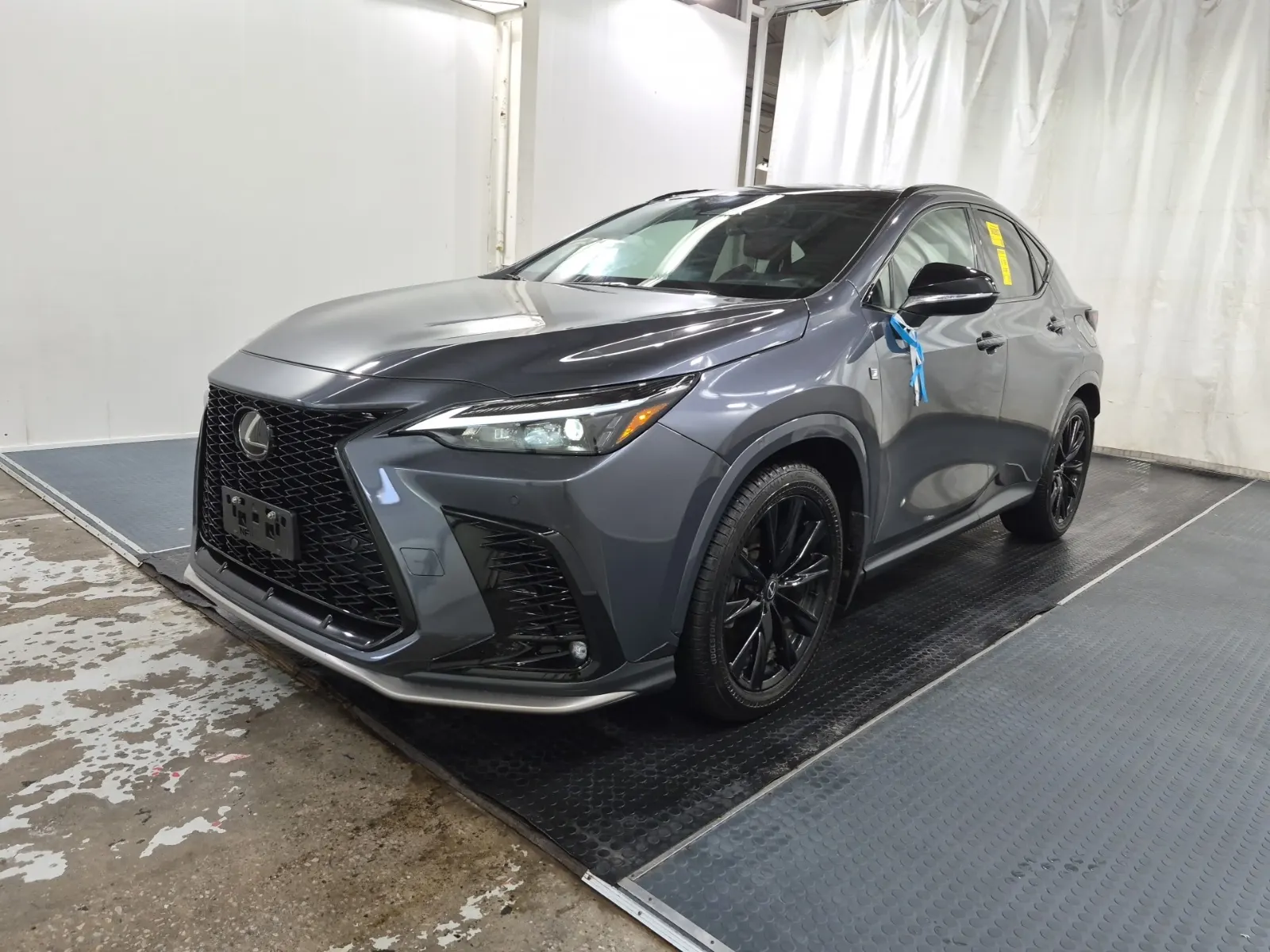 2024 Lexus NX