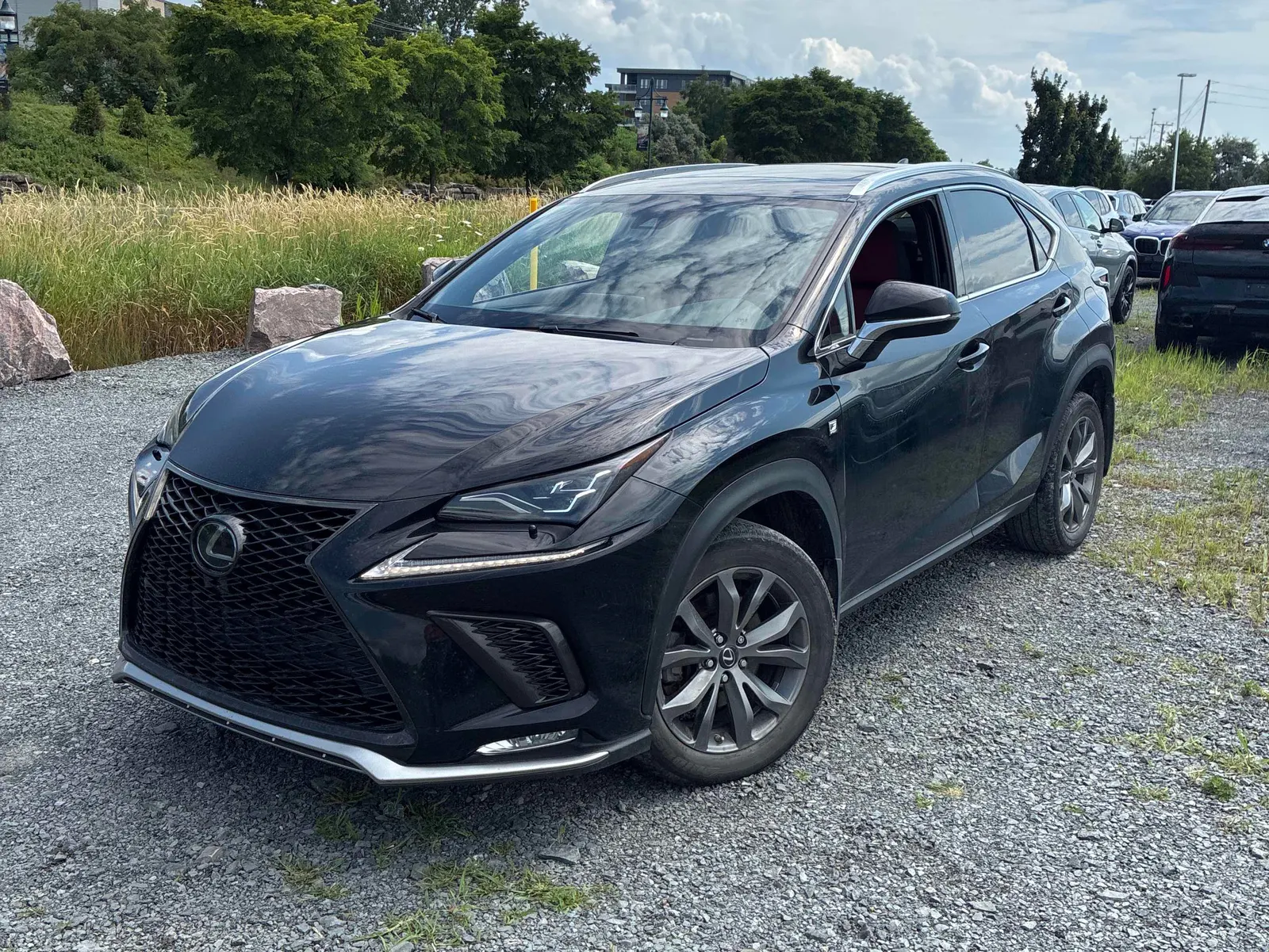 2020 Lexus NX