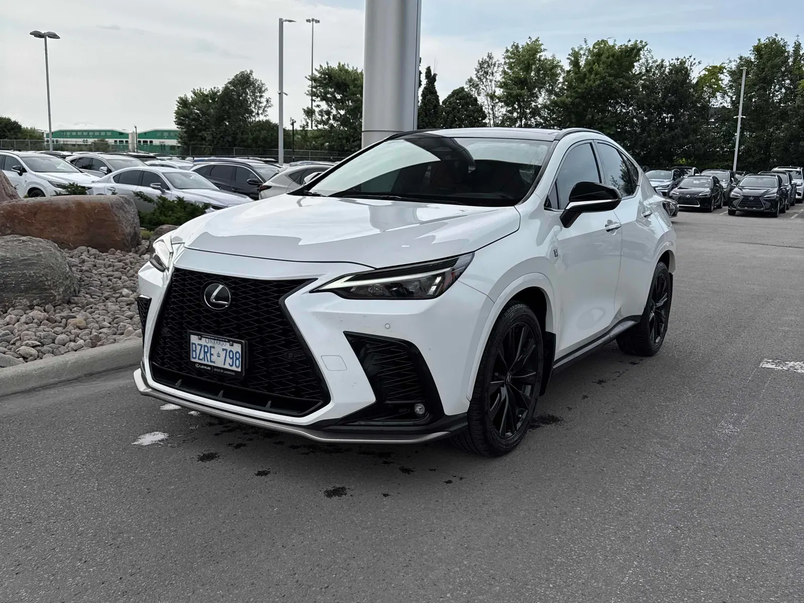 2024 Lexus NX