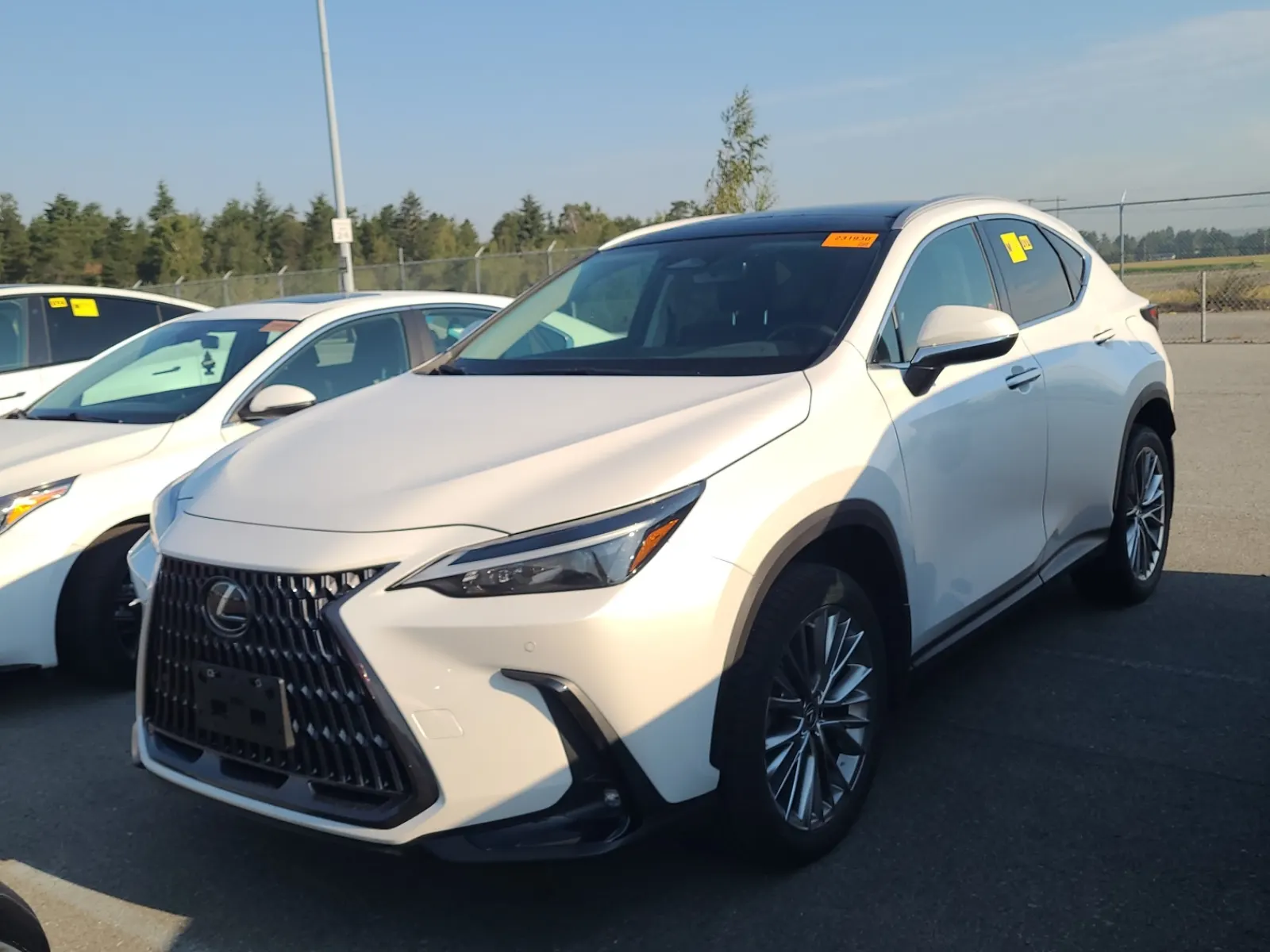 2022 Lexus NX