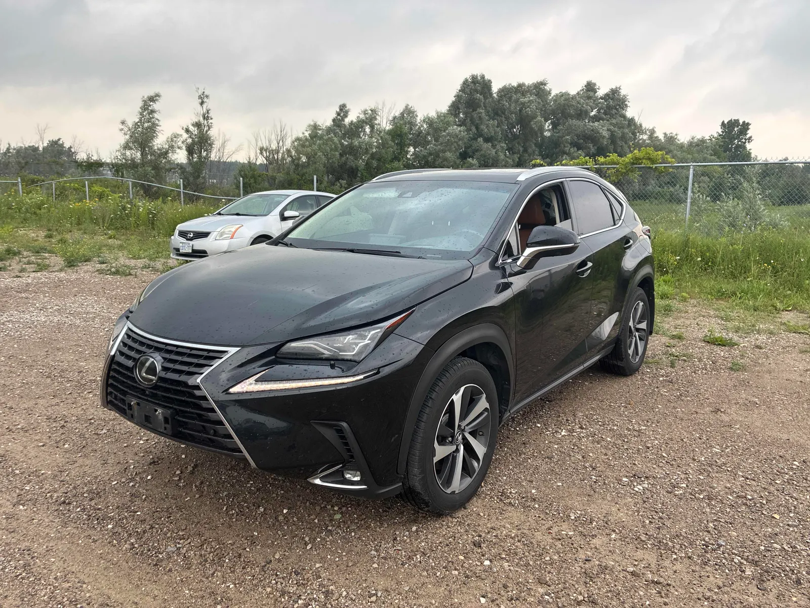 2019 Lexus NX