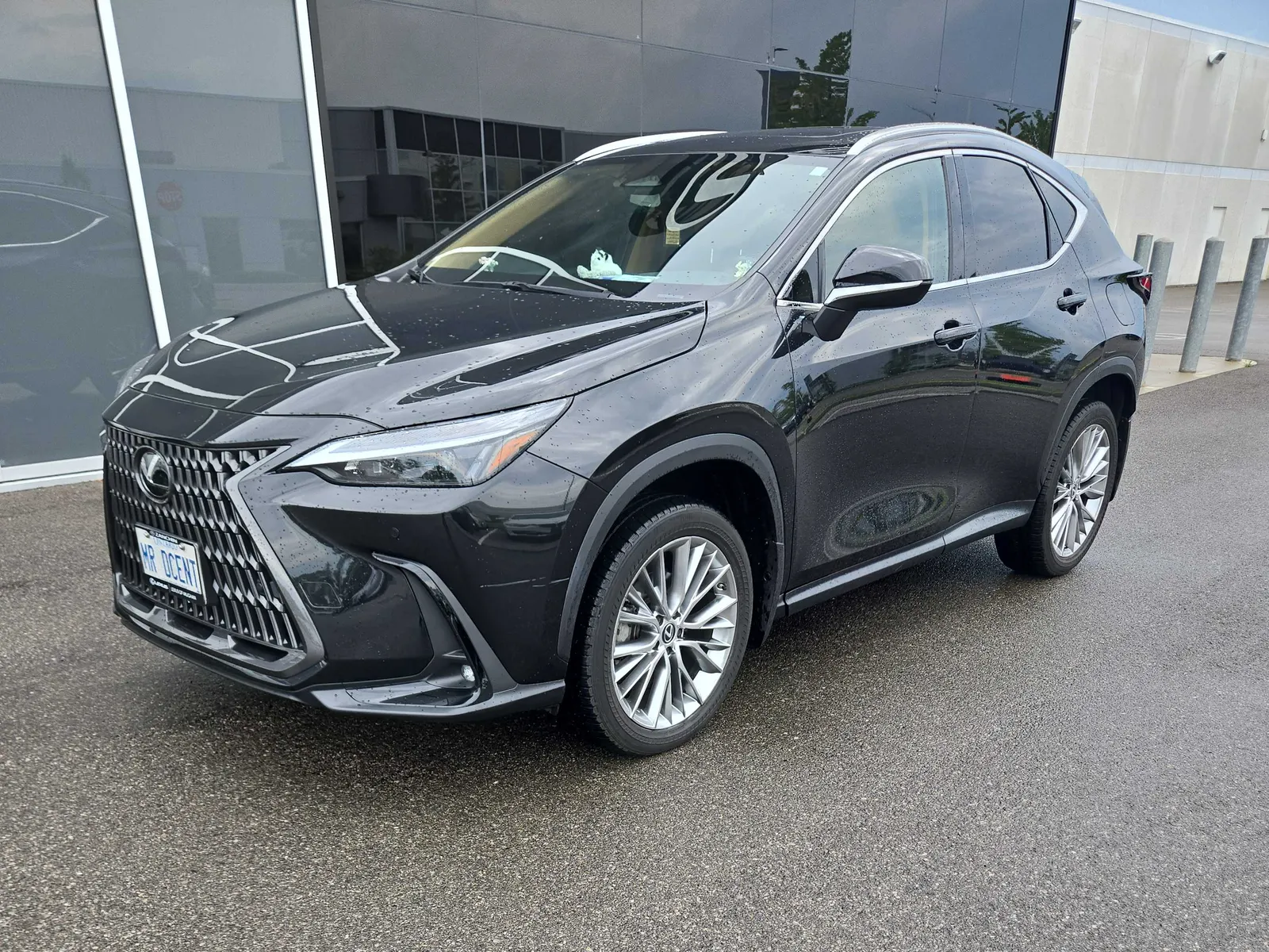 2024 Lexus NX