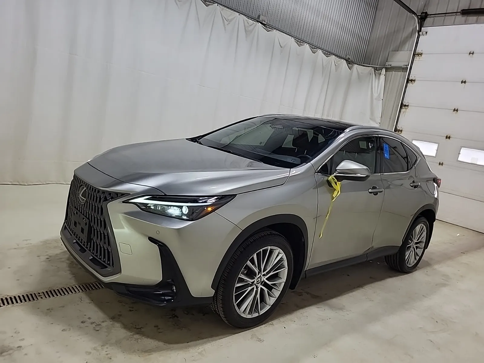2024 Lexus NX