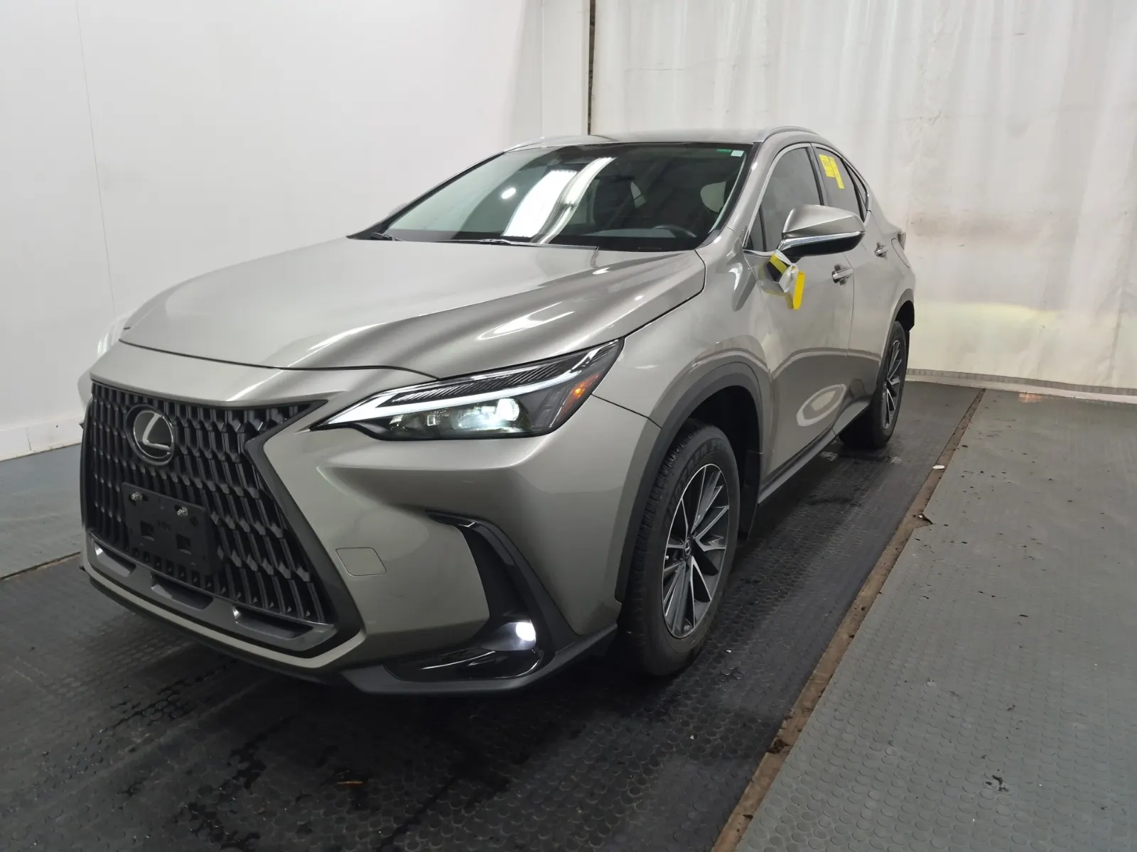 2025 Lexus NX