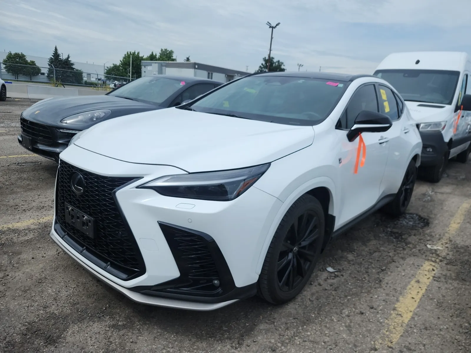 2024 Lexus NX
