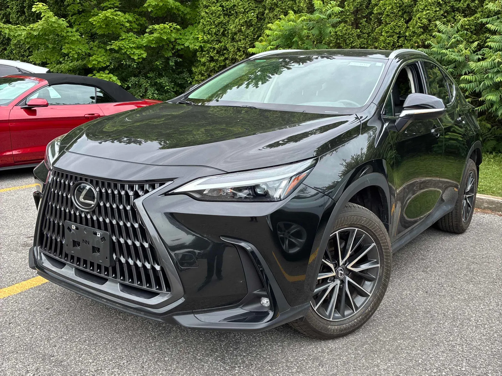 2025 Lexus NX