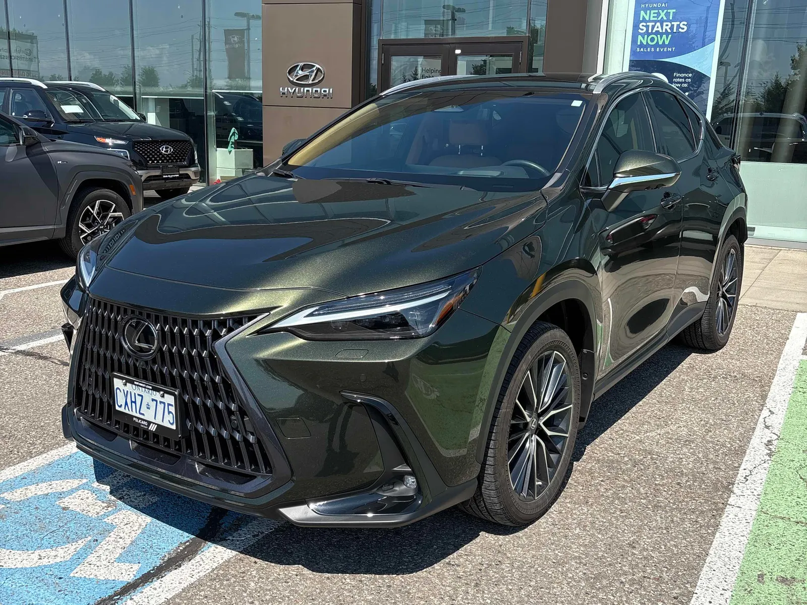 2022 Lexus NX