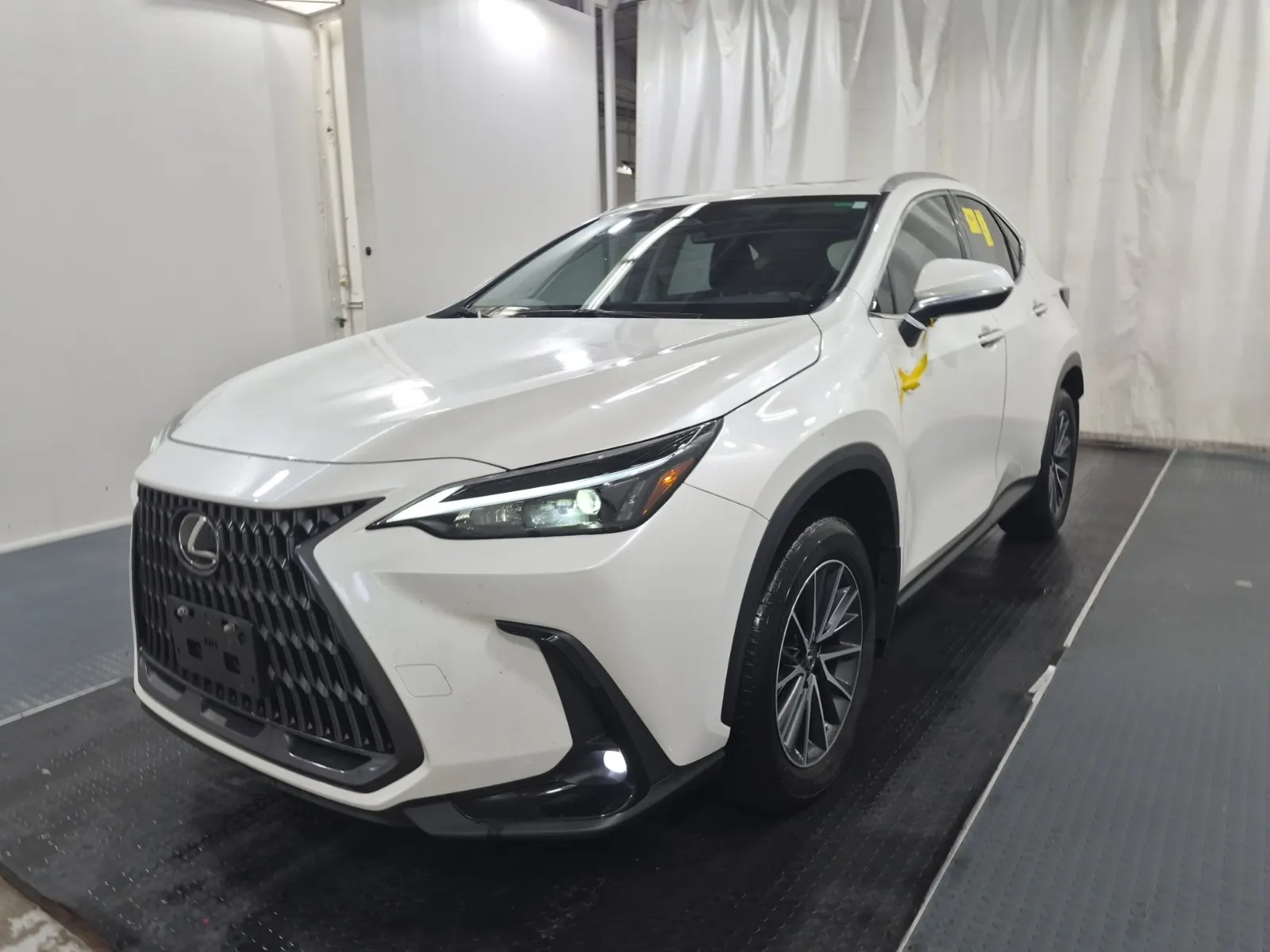 2025 Lexus NX