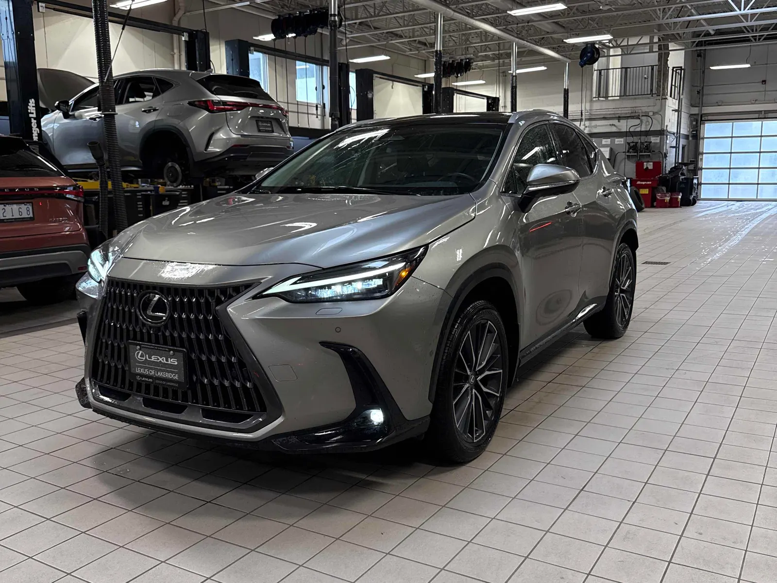 2024 Lexus NX